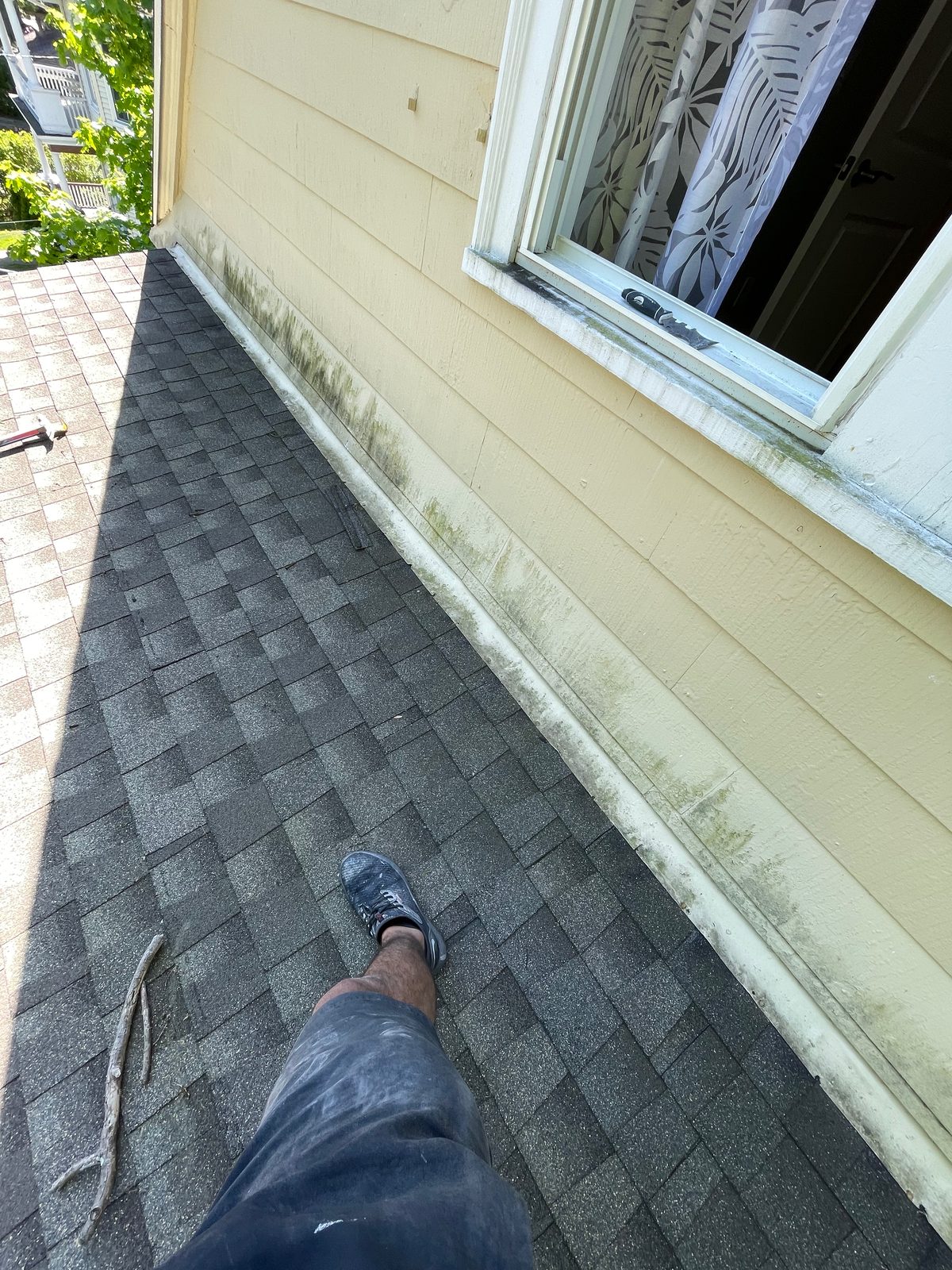 Asphalt shingle roof next to a window on an older home